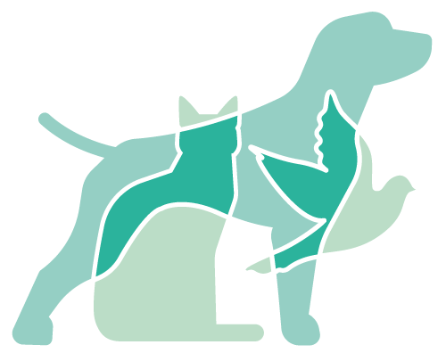 dermivet dermatologia veterinaria tenerife icono grande ok